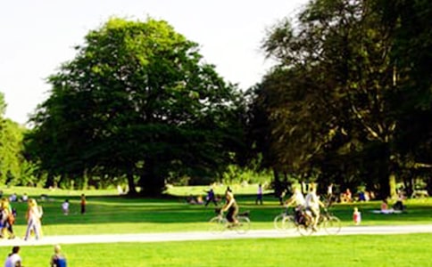 精选西湖公园的作文300字四篇