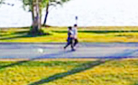 ���Ƽ�����԰������300��3ƪ