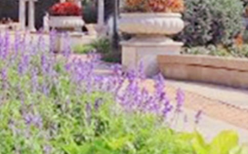 精选游览公园的作文300字三篇