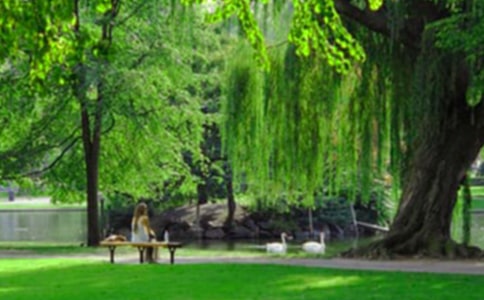 ������԰����300����ƪ