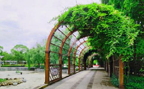 【精选】中山公园作文300字四篇