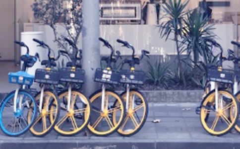 关于文明使用共享单车的倡议书(精选6篇)