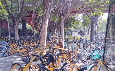 文明使用共享单车倡议书(通用5篇)