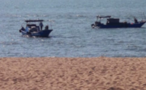 �йع����������300����ƪ