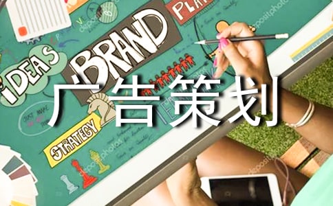 网络广告策划书