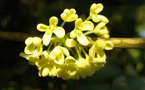 ������С��������1000��