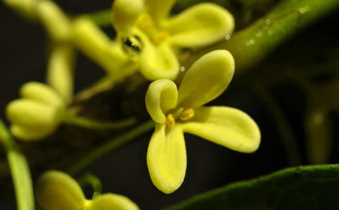 ����һ�Ź���С��������1200��