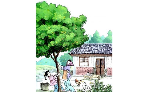 �������꡷�и�