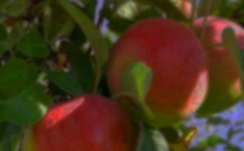 ��԰�������300��5ƪ[ͨ��]