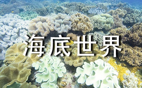 海底世界读后感