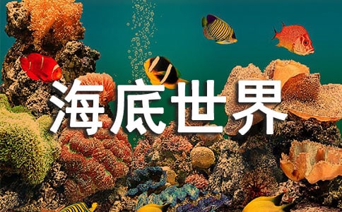 《海底世界》读后感