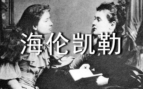 ���׿�������