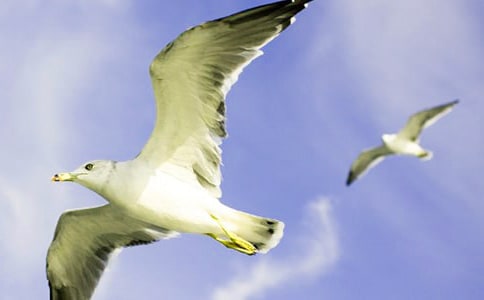 ����Ÿ����ɭ�������15ƪ[��]