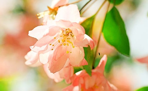 ��еĺ��Ķ���У���ѡ20ƪ��