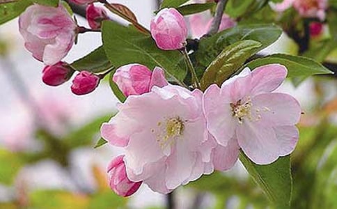 ���㺣������Ȧ��˵˵