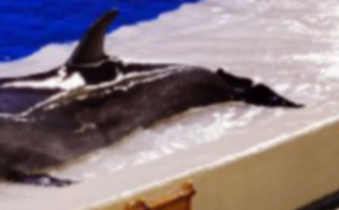 (����)����ɫ�ĺ��ൺ�������15ƪ