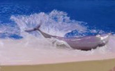 ��ɫ�ĺ��ൺ�����(���15ƪ)