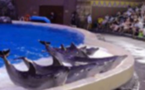 ��ɫ�ĺ��ൺ����м���15ƪ