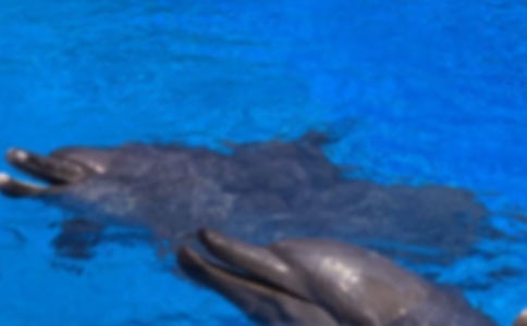 ��ɫ�ĺ��ൺ�����