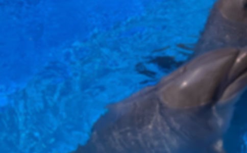 ����ɫ�ĺ��ൺ�������[��]