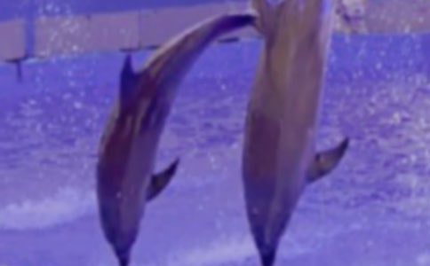 ������ɫ�ĺ��ൺ���и�[�Ƽ�]