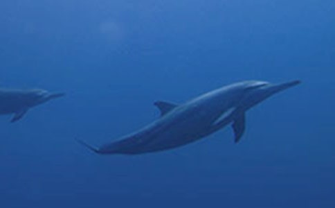 ��ɫ�ĺ��ൺ�����[��]