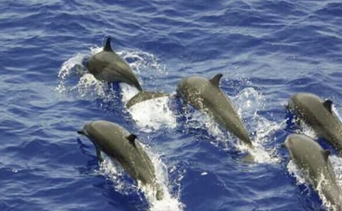 ��ɫ�ĺ��ൺ�����13ƪ