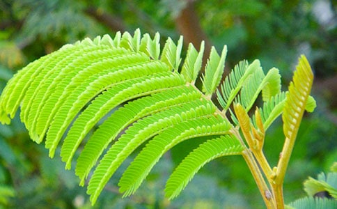 �۲��ռ�100�ֺ��߲�