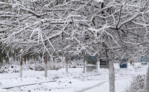 每当寒潮临时心情抑郁的心情说说通用
