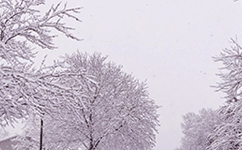 ����������ܰ��ʾ��������