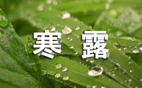 寒露祝福语【集锦15篇】