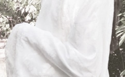 ����������˵˵