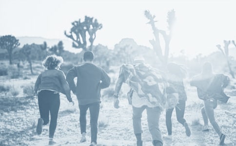 ���ѳ���ף����