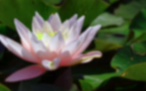 ��д���պɻ���ʫ������