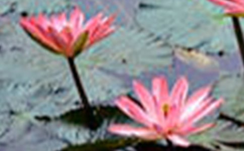 2023��ͨ�����ݺɻ��ľ��Ӻϼ�60��