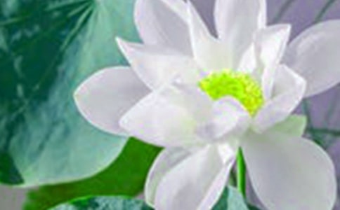 ���ݺɻ��ľ���37��