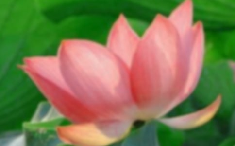 ���ݺɻ��ľ���17��