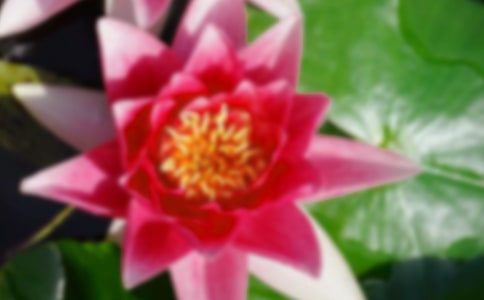 ��ѡ�ɻ���������300����ƪ