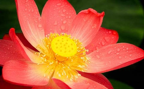 ���ɻ�������˵˵����ѡ160�䣩