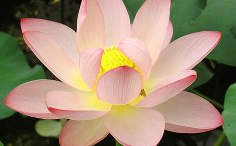 2023���й����ݺɻ��ľ���23��