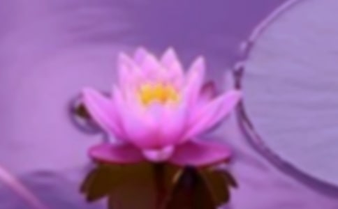 ��ɫ��̼��г��԰�����ֳ����߿򻨱߼�Ư�������