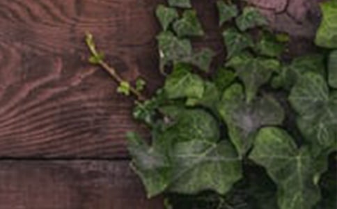 ������������г����ָ��˼����