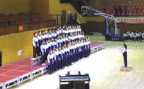 �ϳ������߻���