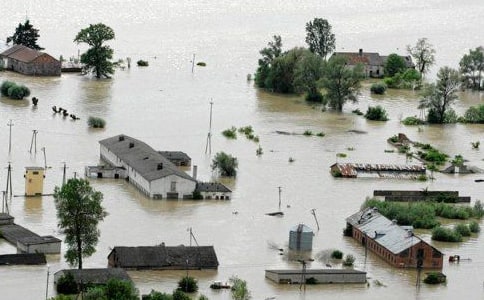实用的洪水作文300字3篇