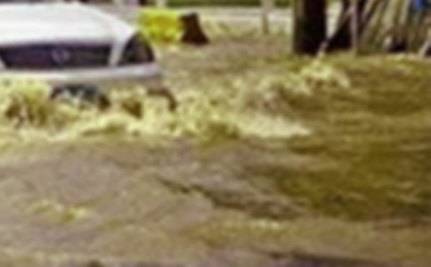 实用的洪水作文300字