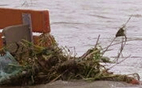 精选洪水作文300字合集7篇