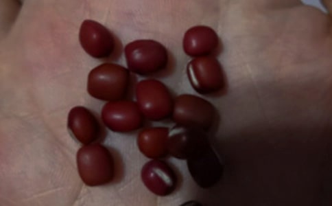 (优选)实用的红豆作文300字