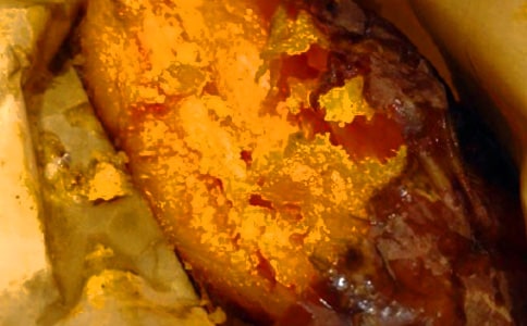 红薯和地瓜的区别