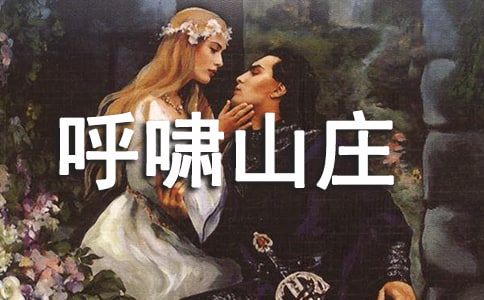 呼啸山庄读后感