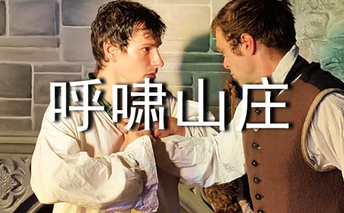 (集合)呼啸山庄读后感